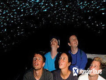 Waitomo Glowworm Caves Discovery Tour from Rotorua