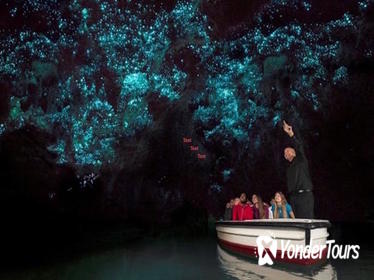 Private Shore Excursion: Waitomo Glow Worm Caves Experience from Tauranga
