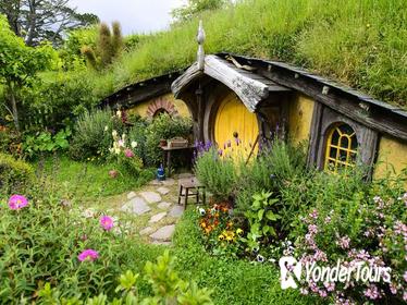 Shore Excursion: Hobbiton and Lord of the Rings Movie Set Tour