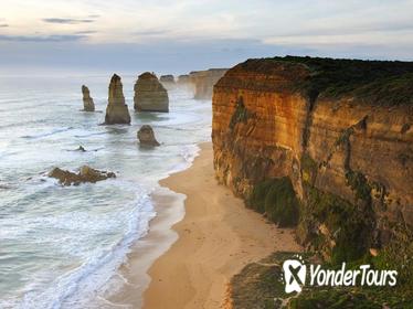 Melbourne Super Saver: Great Ocean Road and Phillip Island plus Melbourne Attraction Pass