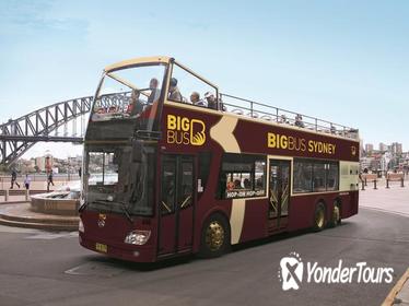 Big Bus Sydney and Bondi Hop-on Hop-off Tour