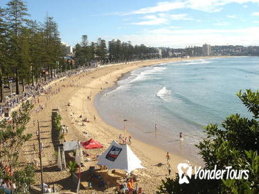 Sydney, Manly, and Northern Beaches Tour with Optional Lunch Cruise