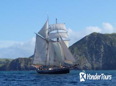 Bay of Islands Tall Ship Sailing on 'R. Tucker Thompson' Including BBQ Lunch