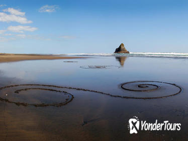 Coast and Rainforest Walk Eco-Tour from Auckland