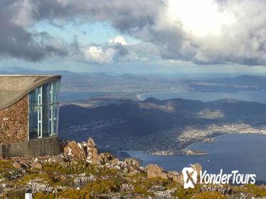 Half-Day Mt Wellington Summit Tour from Hobart