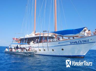 Fijian Islands and Snorkel Full-Day Whales Tale Cruise including Beach BBQ Lunch