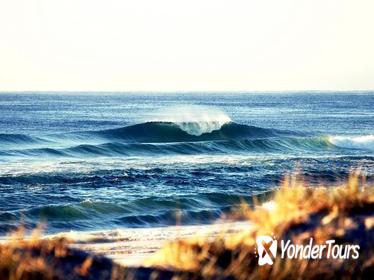 7-Day Byron Bay, Evans Head and Moonee Beach Surf Safari from Brisbane, Gold Coast or Byron Bay