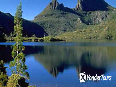 Cradle Mountain National Park Day Tour from Launceston