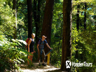 Self-Guided Queen Charlotte Track Walk from Picton