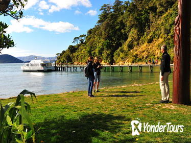 Motuara Island Bird Sanctuary and Ship Cove Cruise from Picton