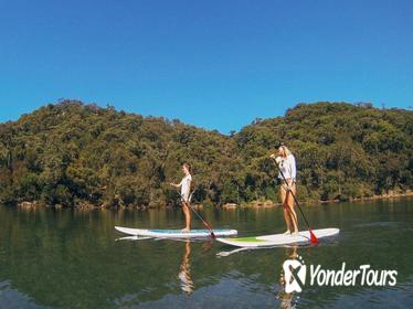 Ku-ring-gai Chase National Park Stand Up Paddleboard Tour