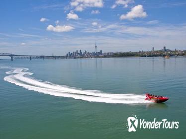 Auckland Shore Excursion: Jet Boat Ride on Waitemata Harbour