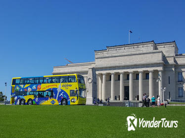 Auckland Shore Excursion: Hop-On Hop-Off Bus Tour