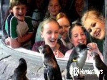 Christchurch City Sightseeing - Must See Three Attractions Christchurch City Sightseeing - Must See Three Attractions