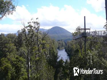 Huon Valley and Tahune Forest Airwalk Tour from Hobart