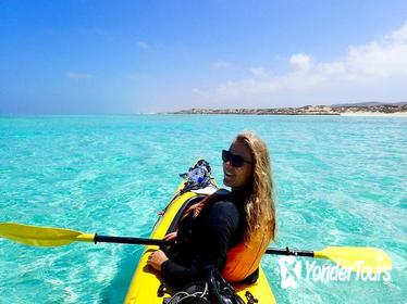 Ningaloo Reef Kayaking and Snorkeling Tour