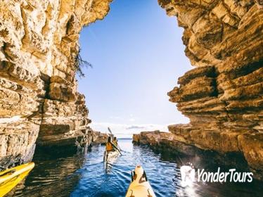 Hobart Kayak Tour