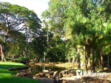 Darwin Afternoon Sightseeing Tour