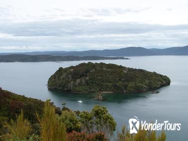 Ulva Island Explorer from Stewart Island