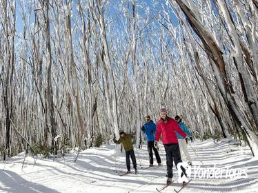 Snow Day Trip to Lake Mountain and Steavenson Waterfalls from Melbourne