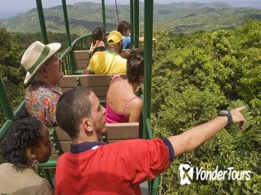 St Lucia Shore Excursion: Aerial Tram and Rainforest Tour