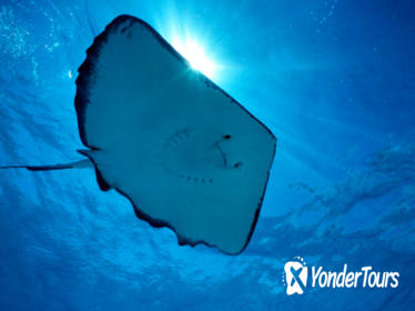 Gibbs Cay Stingray and Snorkel Adventure in Grand Turk Gibbs Cay Stingray and Snorkel Adventure in Grand Turk