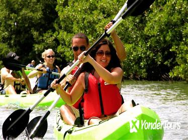 St Thomas Mangrove Lagoon Kayak and Snorkel Tour