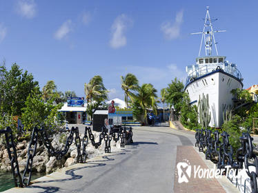 Week Pass at Curacao Public Sea Aquarium