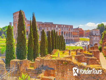 1-Hour Skip-the-Line Small-Group Colosseum Tour in Rome