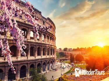 Viator Exclusive: Flex-Pass Skip-The-Line Colosseum Tour