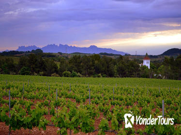 Early Entrance Montserrat & Gourmet Cava Tour with Lunch at Historical Vineyard