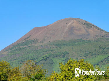 Mt Vesuvius Half-Day Trip from Naples