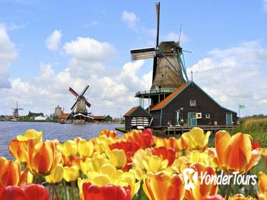 Amsterdam Combo: Keukenhof Gardens and Zaanse Schans Windmill Village