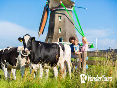 Dutch Windmills and Countryside Day Trip from Amsterdam Including Cheese Tasting in Volendam