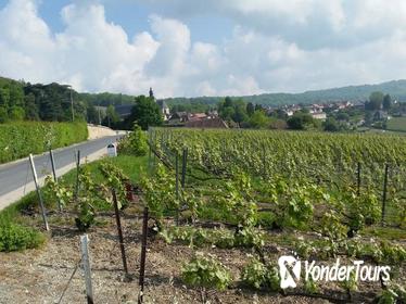 Small-Group Day Tour of Epernay: Picturesque Moet et Chandon and Hautvillers with Champagne Tasting from Reims