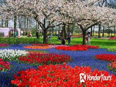 Keukenhof Gardens Transportation and Skip-the-Line Ticket from Amsterdam with Optional A'DAM Lookout Tower Entrance Ticket