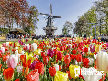 Keukenhof Gardens Half-Day Trip from Amsterdam Including Guided Flower Fields Visit