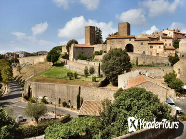 Civitavecchia Shore Excursion: Private Day Trip to Tarquinia and Tuscania