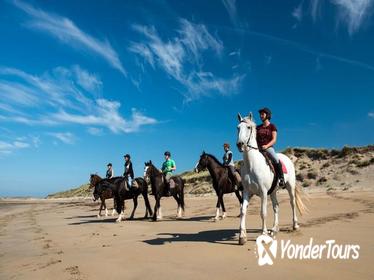 Shore Excursion: Wild Atlantic Way Omey Beach Horseback Ride from Cleggan