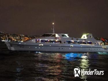 Bosphorus Dinner Cruise Including Transport