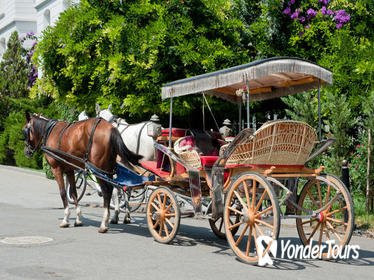 Princes' Island Tour from Istanbul: Buyukada