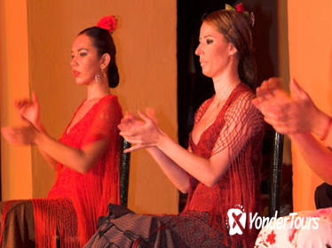 Flamenco Show at Tablao Flamenco El Arenal in Seville