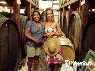 Ancient Akrotiri and Santorini Wineries Tour