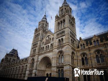 Semi-Private Guided Tour: Natural History Museum of London