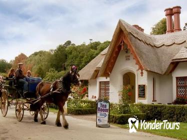 Jaunting Car Tour to Ross Castle from Killarney