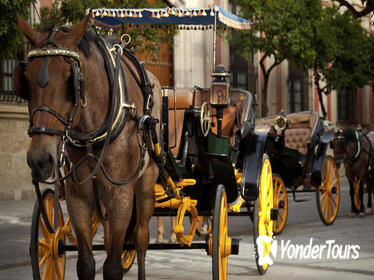 Private Horse and Carriage Tour of Seville