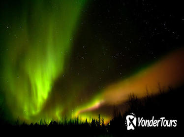 Northern Lights Tour from Rovaniemi with Traditional Lappish Picnic