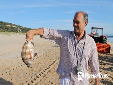 Arrabida Private Tour from Lisbon with Traditional Fisherman's Lunch in Setúbal