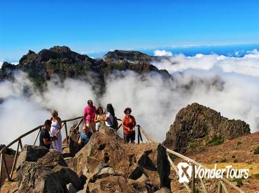 Madeira Peaks - Open 4X4 Full-Day Tour