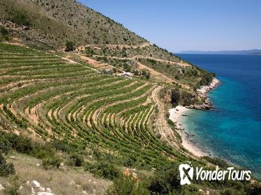 8-Day Dalmatia Home of Zinfandel Grape Tour from Split